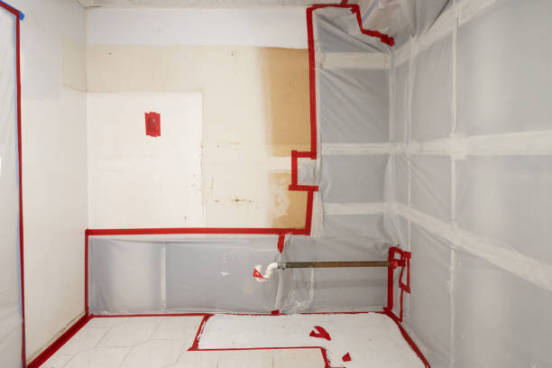 Best Mold Prevention Services  in Lawrenceburg, IN