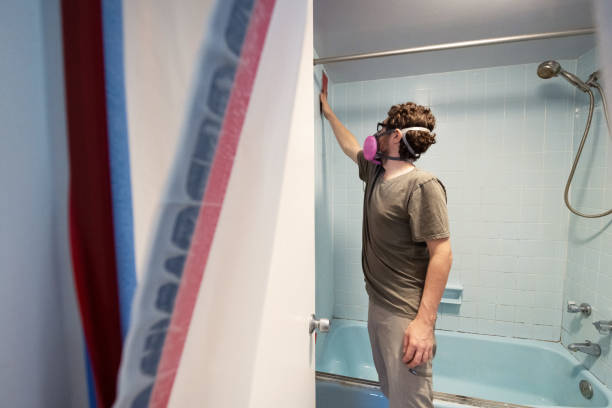 Best Mold Removal for HVAC Installations  in Lawrenceburg, IN