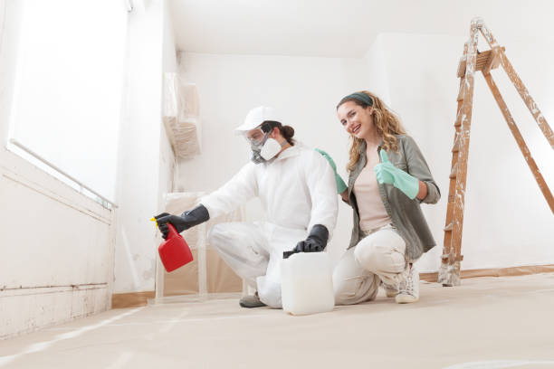 Best Post-Construction Mold Inspection  in Lawrenceburg, IN