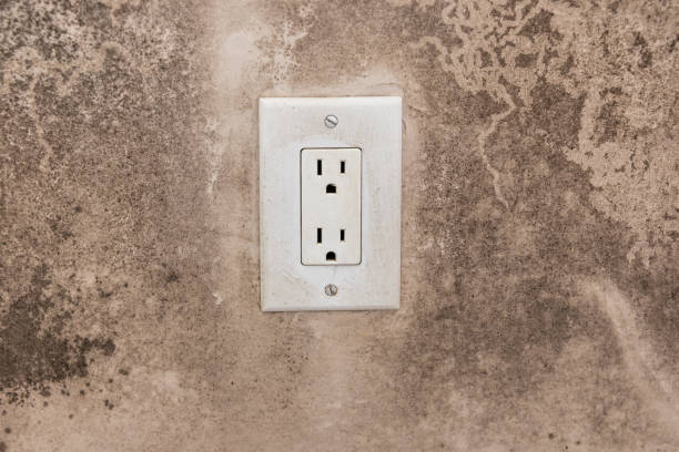 Best Commercial Mold Inspection  in Lawrenceburg, IN